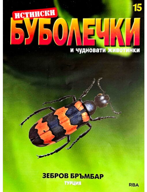 ИСТИНСКИ БУБОЛЕЧКИ - брой 15