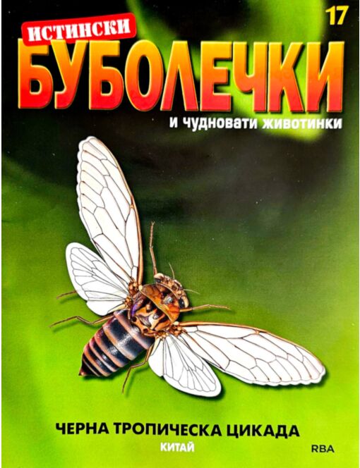ИСТИНСКИ БУБОЛЕЧКИ - брой 17