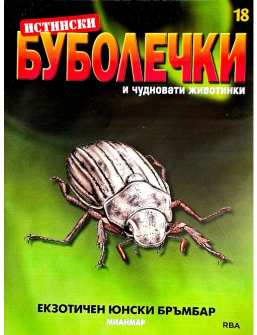 ИСТИНСКИ БУБОЛЕЧКИ - брой 18