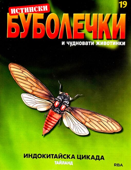 ИСТИНСКИ БУБОЛЕЧКИ - брой 19