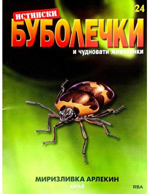 ИСТИНСКИ БУБОЛЕЧКИ - брой 24