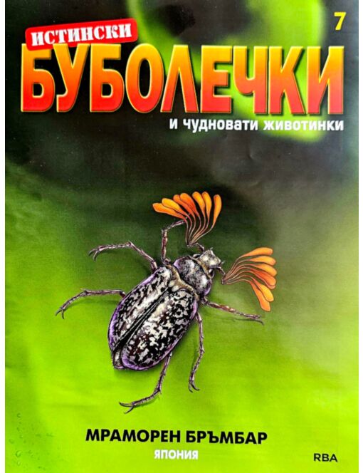 ИСТИНСКИ БУБОЛЕЧКИ - брой 7