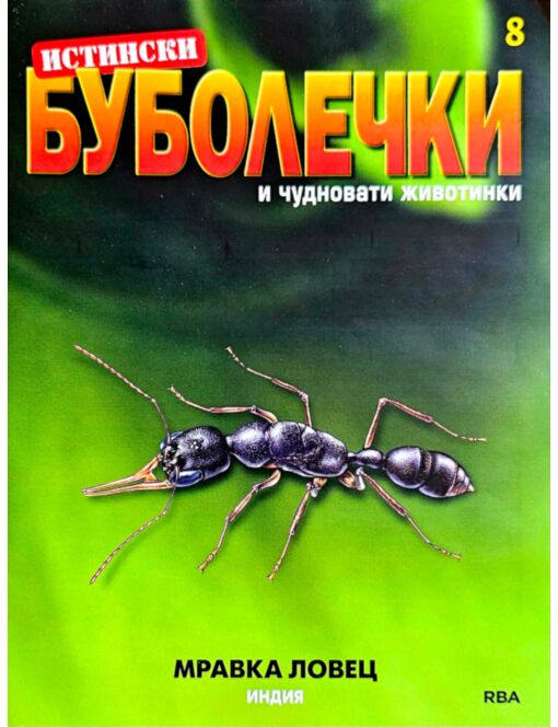 ИСТИНСКИ БУБОЛЕЧКИ - брой 8