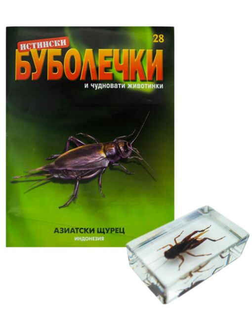 ИСТИНСКИ БУБОЛЕЧКИ - брой 28