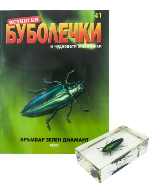 ИСТИНСКИ БУБОЛЕЧКИ - брой 41