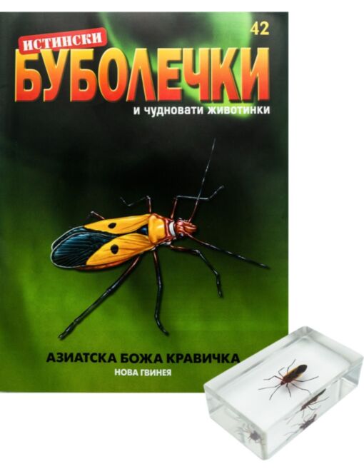 ИСТИНСКИ БУБОЛЕЧКИ - брой 42