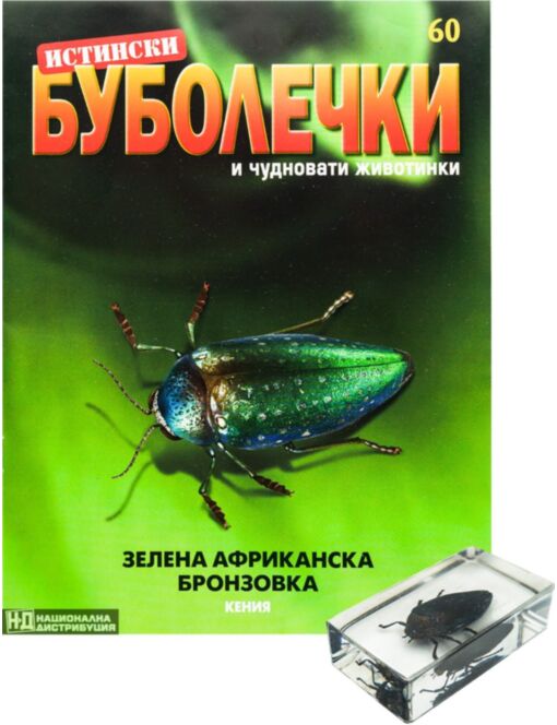 ИСТИНСКИ БУБОЛЕЧКИ - брой 60