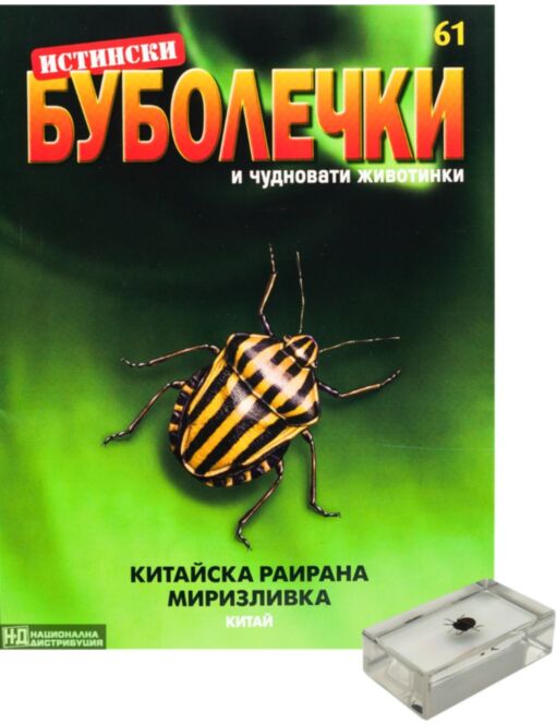 ИСТИНСКИ БУБОЛЕЧКИ - брой 61