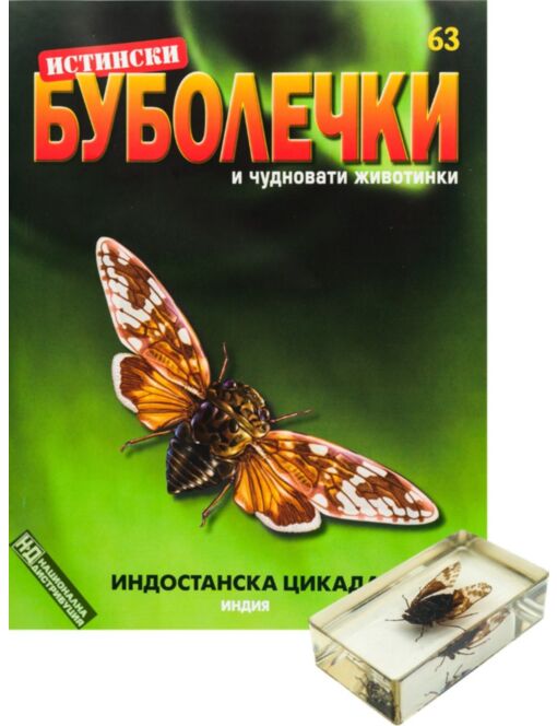 ИСТИНСКИ БУБОЛЕЧКИ - брой 63
