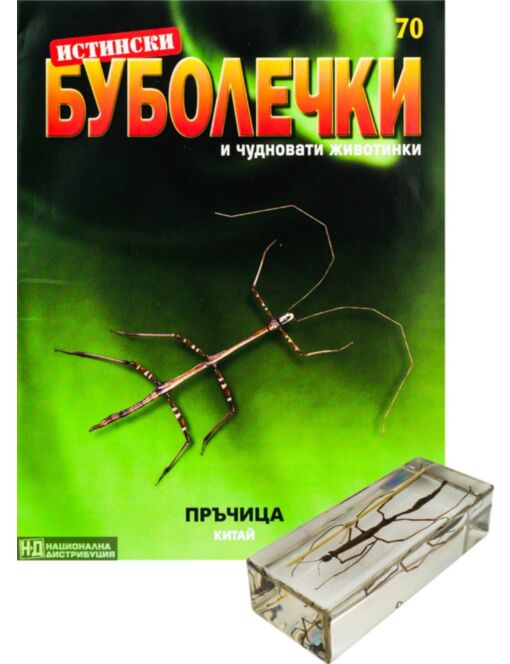 ИСТИНСКИ БУБОЛЕЧКИ - брой 70