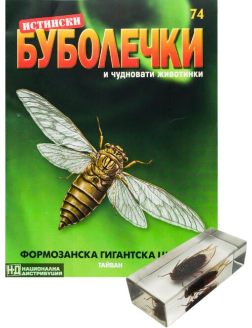 ИСТИНСКИ БУБОЛЕЧКИ - брой 74