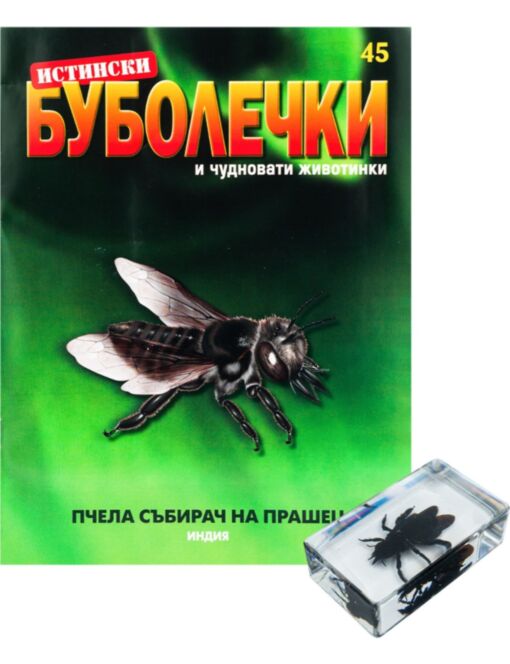 ИСТИНСКИ БУБОЛЕЧКИ - брой 45