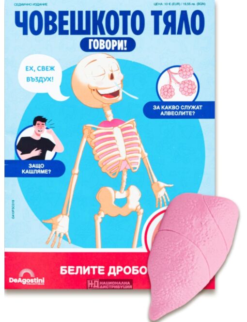 ЧОВЕШКОТО ТЯЛО ГОВОРИ - брой 19