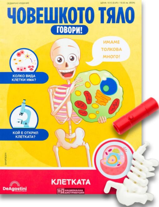 ЧОВЕШКОТО ТЯЛО ГОВОРИ - брой 11
