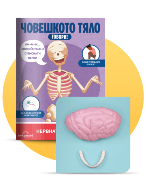 ЧОВЕШКОТО ТЯЛО ГОВОРИ - брой 4
