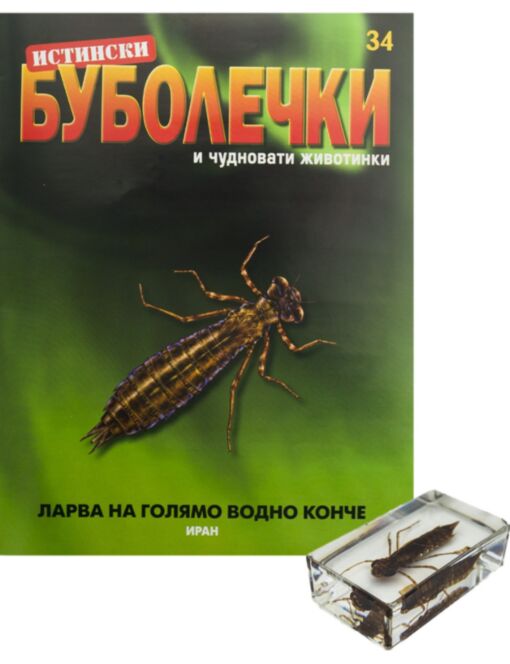 ИСТИНСКИ БУБОЛЕЧКИ - брой 34