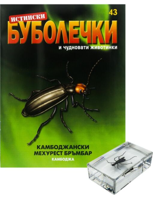 ИСТИНСКИ БУБОЛЕЧКИ - брой 43