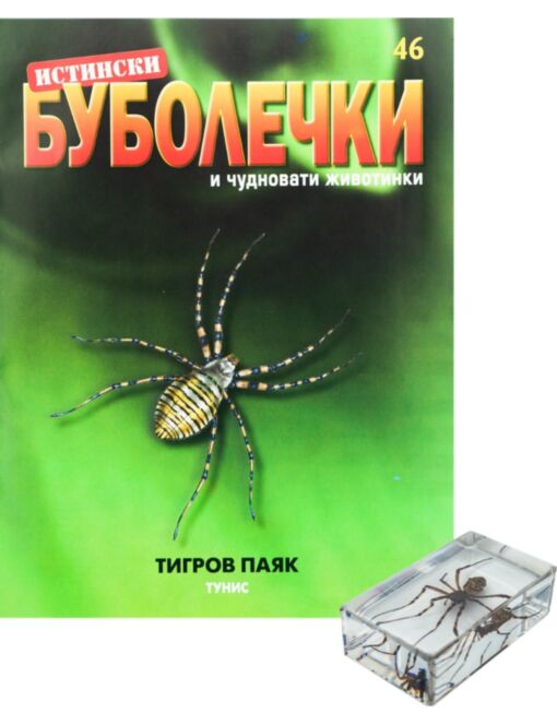 ИСТИНСКИ БУБОЛЕЧКИ - брой 46