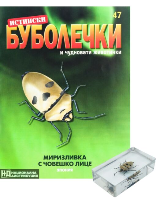 ИСТИНСКИ БУБОЛЕЧКИ - брой 47