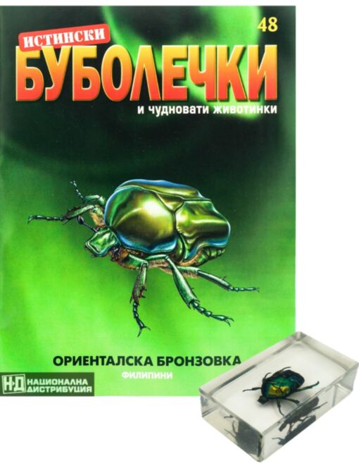 ИСТИНСКИ БУБОЛЕЧКИ - брой 48