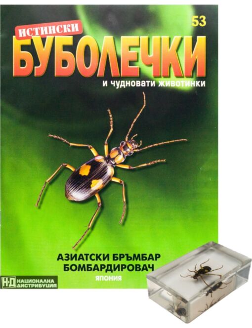 ИСТИНСКИ БУБОЛЕЧКИ - брой 53