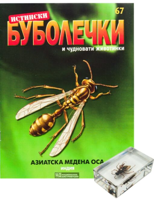 ИСТИНСКИ БУБОЛЕЧКИ - брой 67