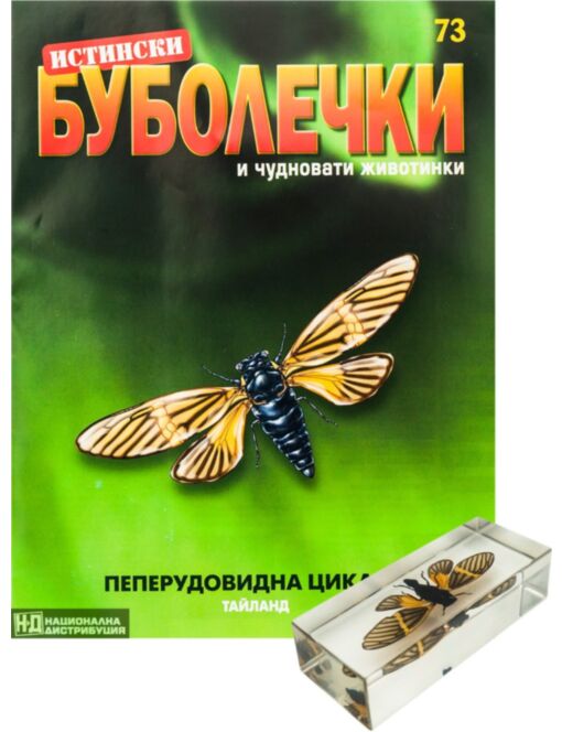 ИСТИНСКИ БУБОЛЕЧКИ - брой 73