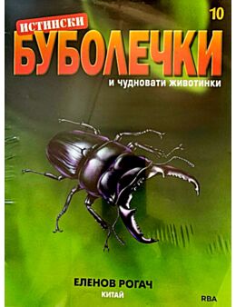 ИСТИНСКИ БУБОЛЕЧКИ - брой 10