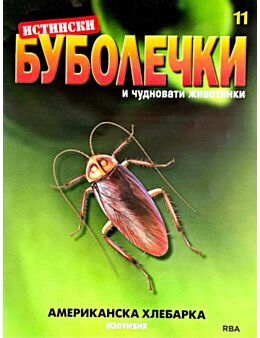 ИСТИНСКИ БУБОЛЕЧКИ - брой 11