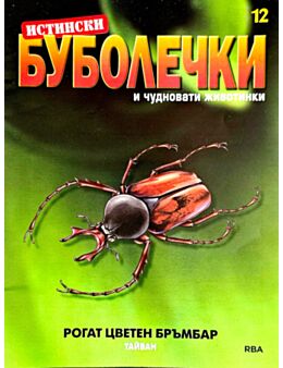 ИСТИНСКИ БУБОЛЕЧКИ - брой 12
