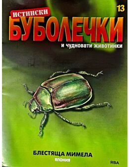 ИСТИНСКИ БУБОЛЕЧКИ - брой 13