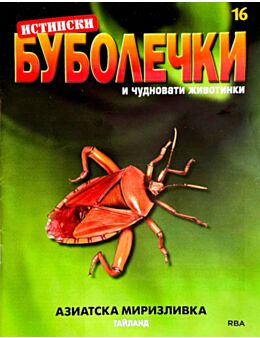 ИСТИНСКИ БУБОЛЕЧКИ - брой 16