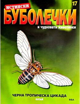 ИСТИНСКИ БУБОЛЕЧКИ - брой 17