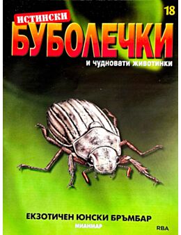 ИСТИНСКИ БУБОЛЕЧКИ - брой 18