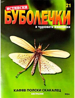 ИСТИНСКИ БУБОЛЕЧКИ - брой 21