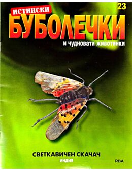 ИСТИНСКИ БУБОЛЕЧКИ - брой 23