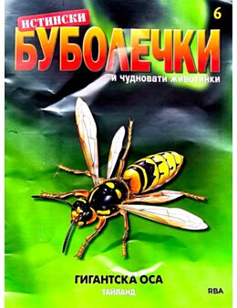 ИСТИНСКИ БУБОЛЕЧКИ - брой 6