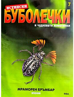 ИСТИНСКИ БУБОЛЕЧКИ - брой 7