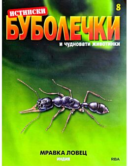 ИСТИНСКИ БУБОЛЕЧКИ - брой 8