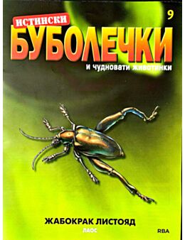 ИСТИНСКИ БУБОЛЕЧКИ - брой 9