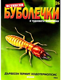 ИСТИНСКИ БУБОЛЕЧКИ - брой 26