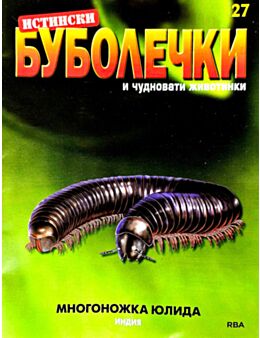 ИСТИНСКИ БУБОЛЕЧКИ - брой 27