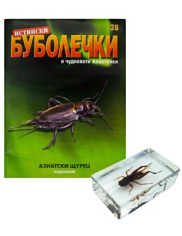 ИСТИНСКИ БУБОЛЕЧКИ - брой 28