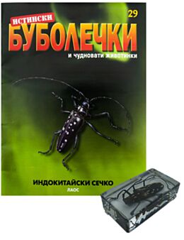ИСТИНСКИ БУБОЛЕЧКИ - брой 29