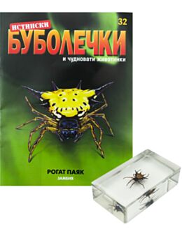 ИСТИНСКИ БУБОЛЕЧКИ - брой 32