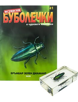 ИСТИНСКИ БУБОЛЕЧКИ - брой 41
