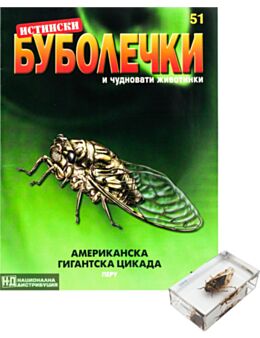ИСТИНСКИ БУБОЛЕЧКИ - брой 51