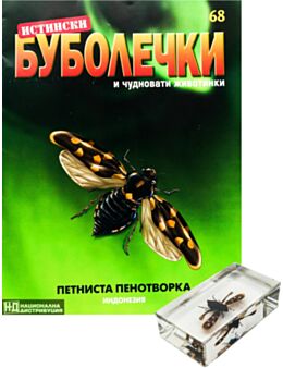 ИСТИНСКИ БУБОЛЕЧКИ - брой 68