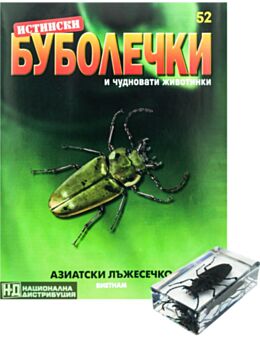 ИСТИНСКИ БУБОЛЕЧКИ - брой 52
