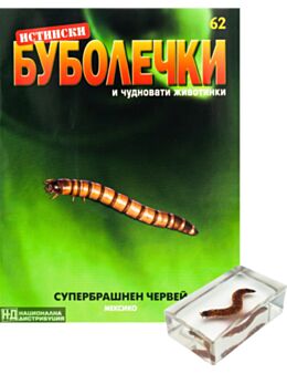ИСТИНСКИ БУБОЛЕЧКИ - брой 62